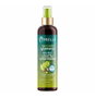 Mielle Aguacate y Tamanu Anti Frizz Leave In Acondicionador 237 ml