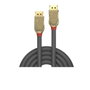 LINDY Cable DisplayPort Gold Line 20m 4K 30Hz Gris