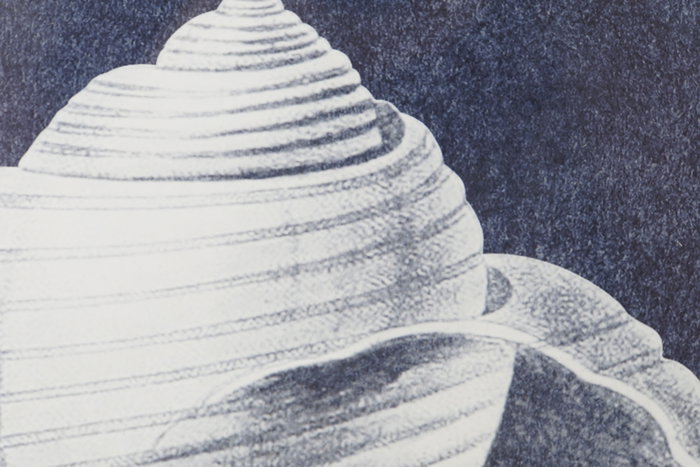 DKD Home Decor Cuadro Atlantico Azul Marino Blanco con Caracolas de Cristal y Mdf 45 x 60 x 2.5 cm Set 4 Unidades