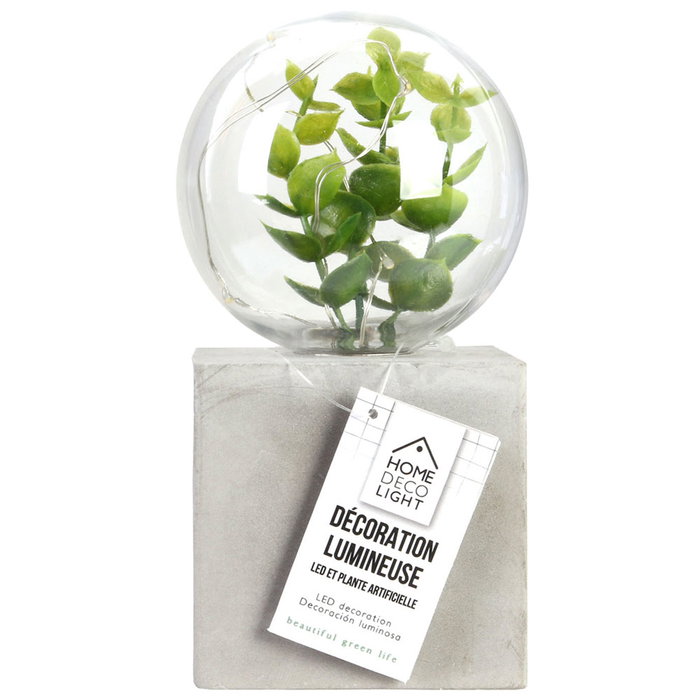 Home Deco Factory Lámpara LED con Planta Little Garden Decoración Luminosa 5 LEDs Pila Cemento Plástico 14.5cm Home Deco Factory Lámpara LED con Planta Little Garden Decoración Luminosa 5 LEDs Pila Cemento Plástico 14.5cm