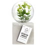 Home Deco Factory Lámpara LED con Planta Little Garden Decoración Luminosa 5 LEDs Pila Cemento Plástico 14.5cm