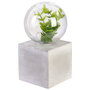 Home Deco Factory Lámpara LED con Planta Little Garden Decoración Luminosa 5 LEDs Pila Cemento Plástico 14.5cm