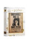 SD Toys Puzzle Indeseable Harry Potter 1000 piezas