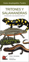 TUNDRA, TRITONES Y SALAMANDRAS - AA.VV