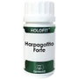 EQUISALUD HOLOFIT Cúrcuma Plus 50 cápsulas