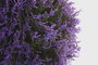 DKD Home Decor Bola de Decoración PE 30x30x30 UV Verde y Lila