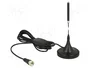 DeLOCK Antena DAB+ 21 dBi con conector Tipo F y cable de 2 m