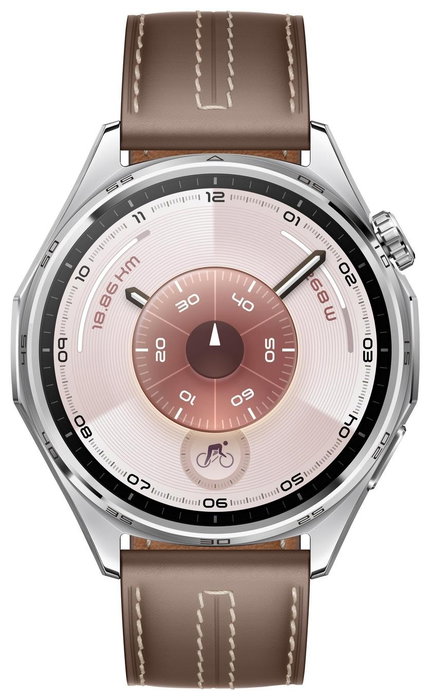 Huawei Watch GT 6 Classic 46mm Plata/Marrón