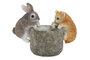 DKD Home Decor Figuras de Animales en Resina Surtidas de 9x9x15,5 cm