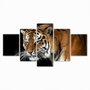 DKD Home Decor Set de 5 Cuadros de Lienzo y Pino Salvaje 150x2x80 cm