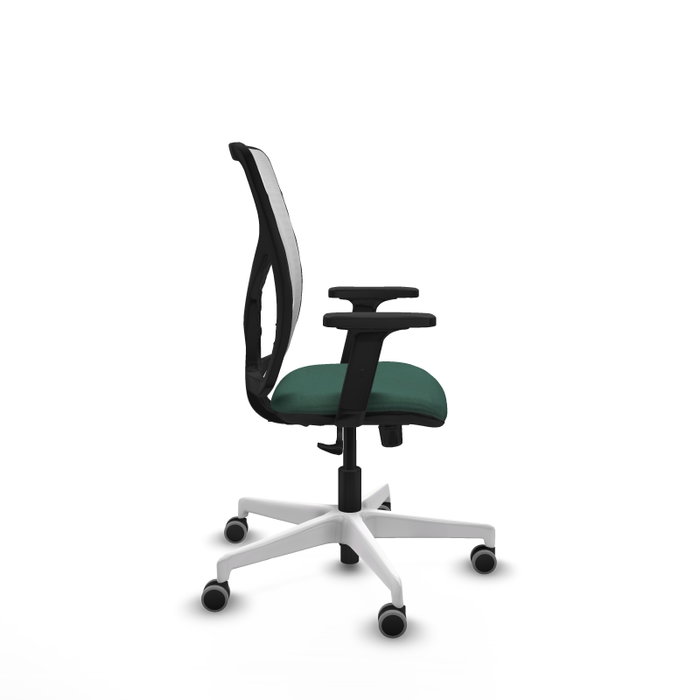 PIQUERAS Y CRESPO Silla de oficina Motilla con mecanismo Sincro, Verde botella y Blanco PIQUERAS Y CRESPO Silla de oficina Motilla con mecanismo Sincro, Verde botella y Blanco
