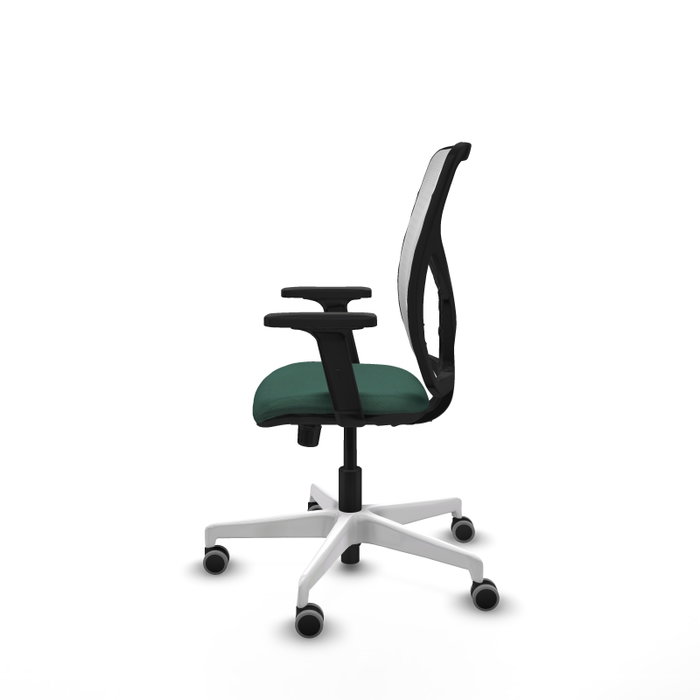 PIQUERAS Y CRESPO Silla de oficina Motilla con mecanismo Sincro, Verde botella y Blanco PIQUERAS Y CRESPO Silla de oficina Motilla con mecanismo Sincro, Verde botella y Blanco