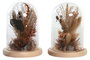 DKD Home Decor Decoración Flor Seca Cristal 12x12x17 Surtido de 2