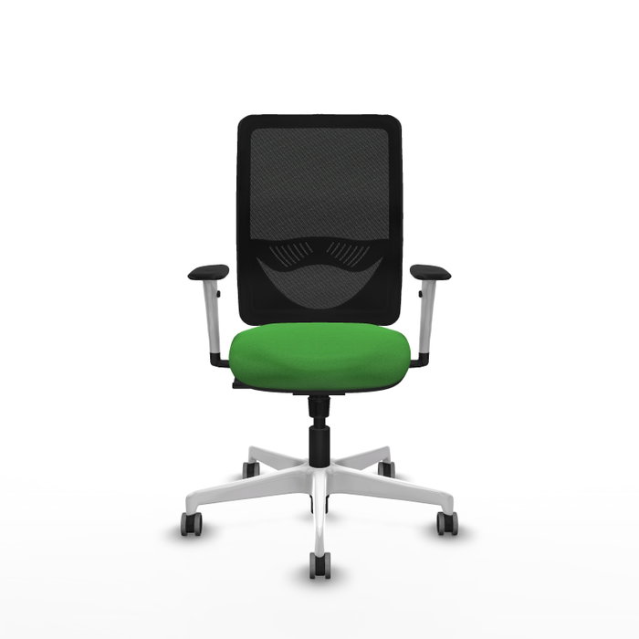 PIQUERAS Y CRESPO Silla de oficina Zulema con mecanismo Sincro, Verde y Negro PIQUERAS Y CRESPO Silla de oficina Zulema con mecanismo Sincro, Verde y Negro