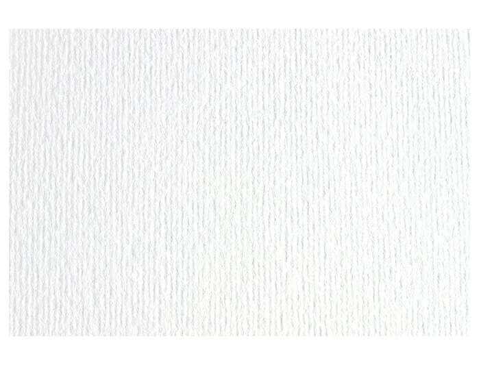 Sadipal Cartulina 220g Texturizada Blanco 50x70 cm (Set de 20)
