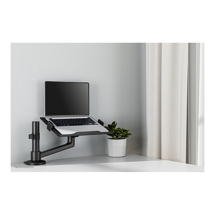 Neomounts Soporte de Escritorio para Portátil 11,6"-17,3", Newstar