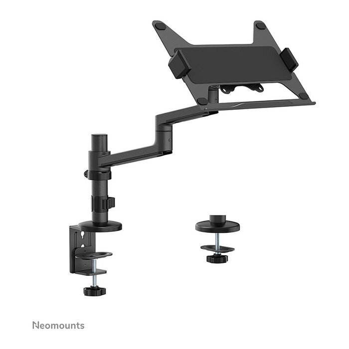 Neomounts Soporte de Escritorio para Portátil 11,6"-17,3", Newstar
