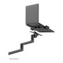 Neomounts Soporte de Escritorio para Portátil 11,6"-17,3", Newstar