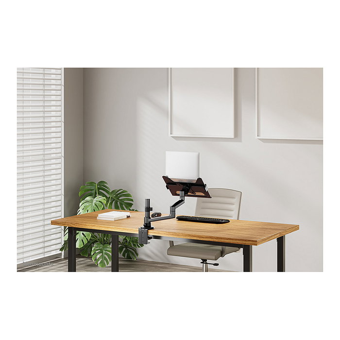 Neomounts Soporte de Escritorio para Portátil 11,6"-17,3", Newstar