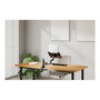 Neomounts Soporte de Escritorio para Portátil 11,6"-17,3", Newstar