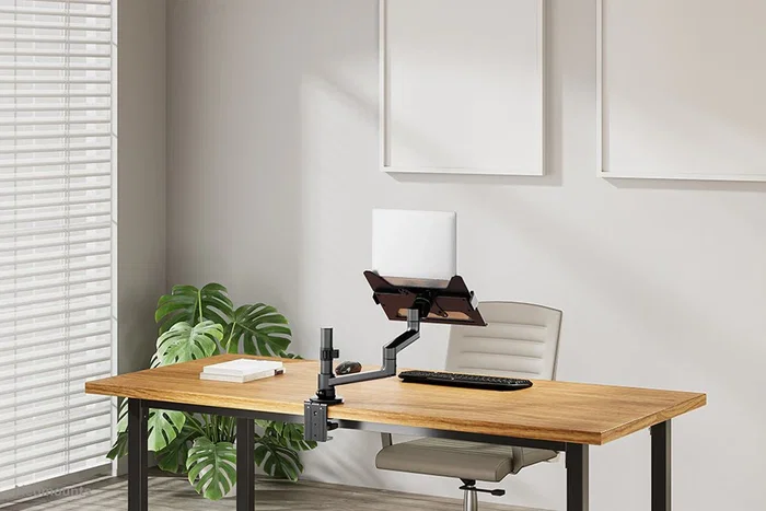 Neomounts DS20-425BL1 NEXT Lite - Soporte de escritorio ajustable para portátiles de 11.6" a 17.3" (hasta 5 kg) - Negro, 360° rotación, VESA 100x100, gestión de cables