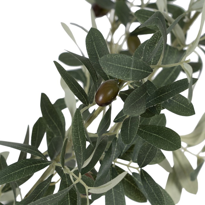 Planta Olivo Verde 55 X 60 X 112 cm
