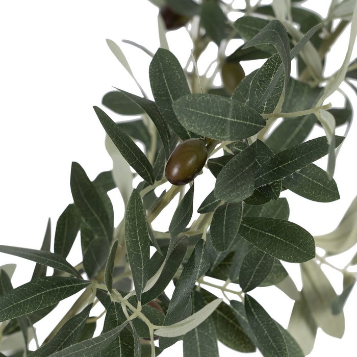 Ixia Planta de Olivo Verde 55 x 60 x 112 cm con Macetero Negro