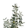 Ixia Planta de Olivo Verde 55 x 60 x 112 cm con Macetero Negro