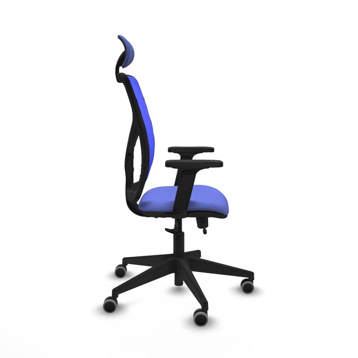 PIQUERAS Y CRESPO Silla de oficina Motilla con mecanismo Sincro/Traslack Azul PIQUERAS Y CRESPO Silla de oficina Motilla con mecanismo Sincro/Traslack Azul