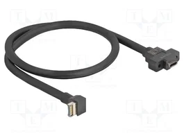 DeLOCK Cable USB 85326 USB A a USB C 10 Gbps 0,45 m