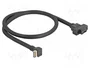 DeLOCK Cable USB 85326 USB A a USB C 10 Gbps 0,45 m