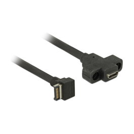DeLOCK Cable USB 85326 USB A a USB C 10 Gbps 0,45 m