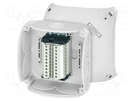 Gustav Hensel GmbH & Co. KG RK 0610 T Caja de terminales 1,5-4 mm² con 10 terminales WKM y fijación Auenbefestg
