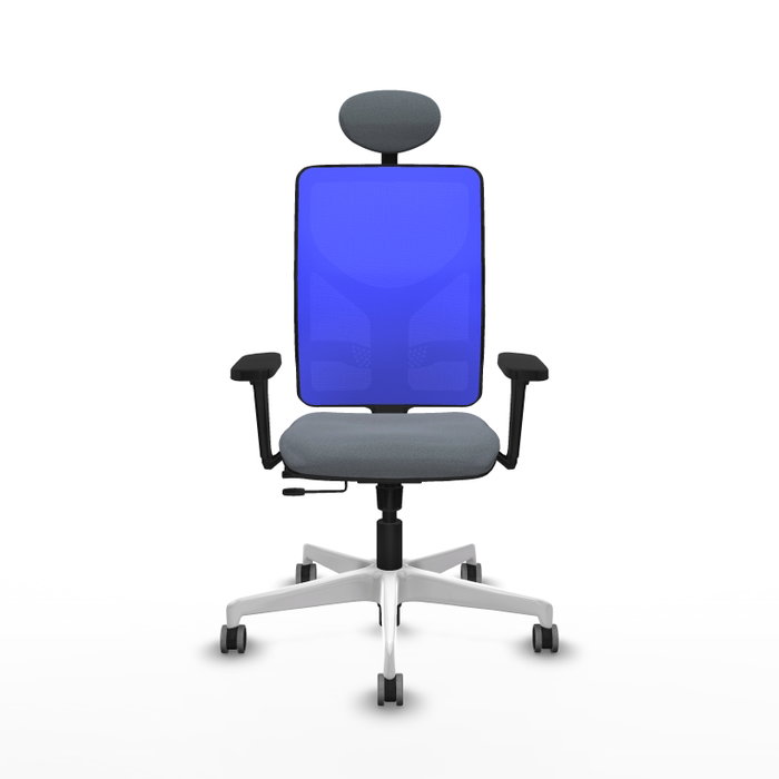 PIQUERAS Y CRESPO Silla de oficina Motilla con mecanismo Sincro/Traslack, Gris y Azul