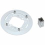 Axis Soporte Placa T94F01M J-BOX/GANG Blanco