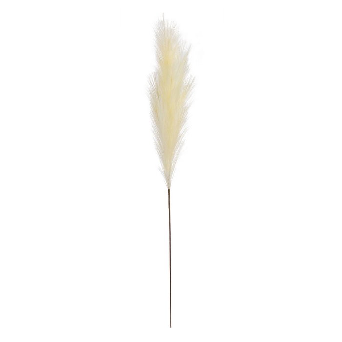 Ixia Rama de Junco Crema Artificial Decoración 12 x 12 x 110 cm Ixia Rama de Junco Crema Artificial Decoración 12 x 12 x 110 cm