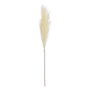 Ixia Rama de Junco Crema Artificial Decoración 12 x 12 x 110 cm