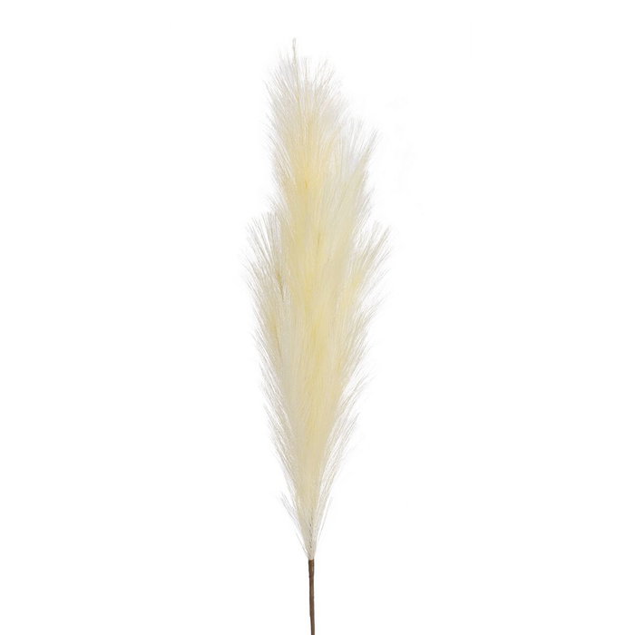 Ixia Rama de Junco Crema Artificial Decoración 12 x 12 x 110 cm Ixia Rama de Junco Crema Artificial Decoración 12 x 12 x 110 cm