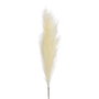 Ixia Rama de Junco Crema Artificial Decoración 12 x 12 x 110 cm
