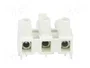 BM GROUP Bloque de bornas desmontable blanco de 16A