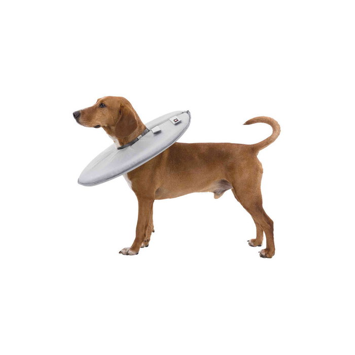 Collar Isabelino para Perros Trixie Gris (38-42 cm) Collar Isabelino para Perros Trixie Gris (38-42 cm)