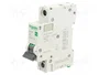 SCHNEIDER ELECTRIC Interruptor magnetotérmico Easy9 Pro 40A 1 polo 6kA