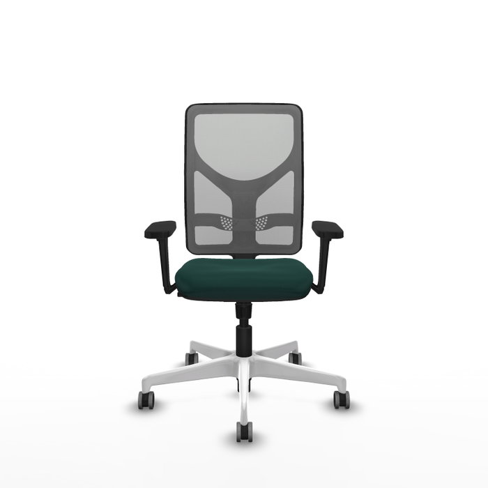PIQUERAS Y CRESPO Silla de oficina Motilla con mecanismo Sincro, Verde botella y Gris PIQUERAS Y CRESPO Silla de oficina Motilla con mecanismo Sincro, Verde botella y Gris