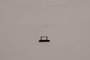 Lenovo T14 G3 Nano Sim Tray Bandeja Negro FRU T14G3_NANO_SIM_TRAY_BK