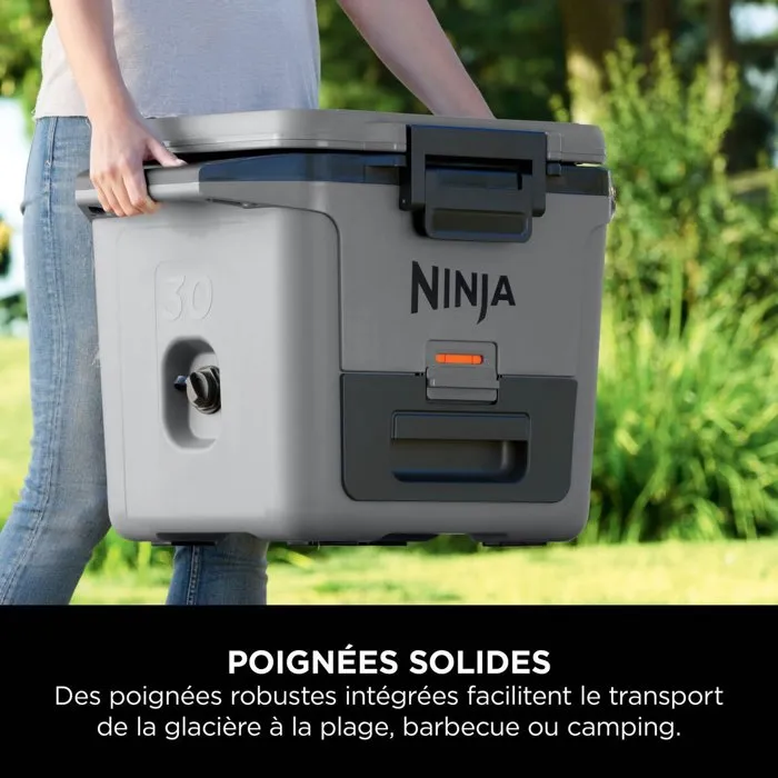 Ninja Nevera con ruedas FrostVault Rígida 28L Gris
