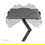 Newstar DS20-425BL2 - Neomounts Tischhalterung para Monitor 17-27 Pulgadas y Laptop 11.6-17.3 Pulgadas, Soporte de Escritorio, Negro