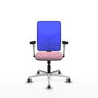 PIQUERAS Y CRESPO Silla de oficina Motilla con mecanismo Sincro, Rosa y Azul