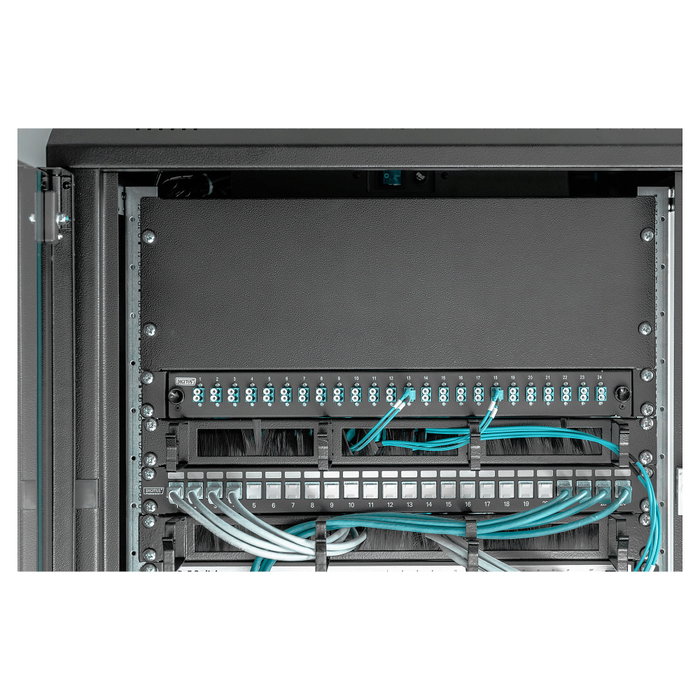 Digitus DN-19 BPN-04-SW Tapa ciega 4U Negro
