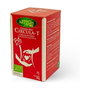 ARTEMIS BIO Circula T Tisana Bio 20 Filtros