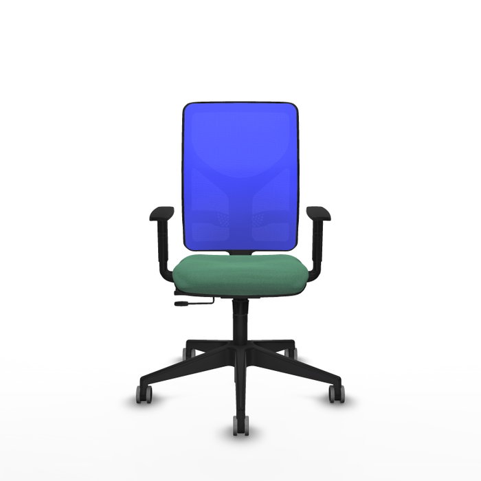 PIQUERAS Y CRESPO Silla de oficina Motilla con mecanismo Sincro/Traslack Verde esmeralda y Azul PIQUERAS Y CRESPO Silla de oficina Motilla con mecanismo Sincro/Traslack Verde esmeralda y Azul